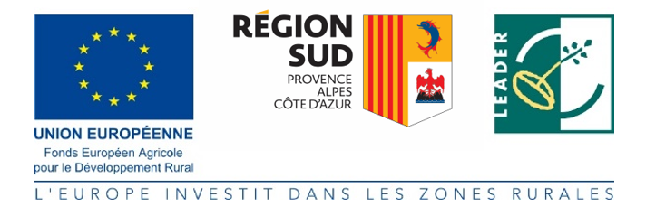 Bandeau 3 logos re gion sud